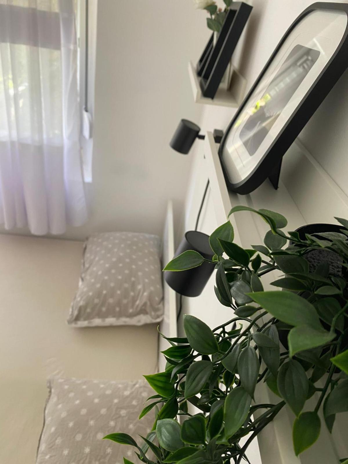Urban Oasis Apartment Sajmiste Dış mekan fotoğraf