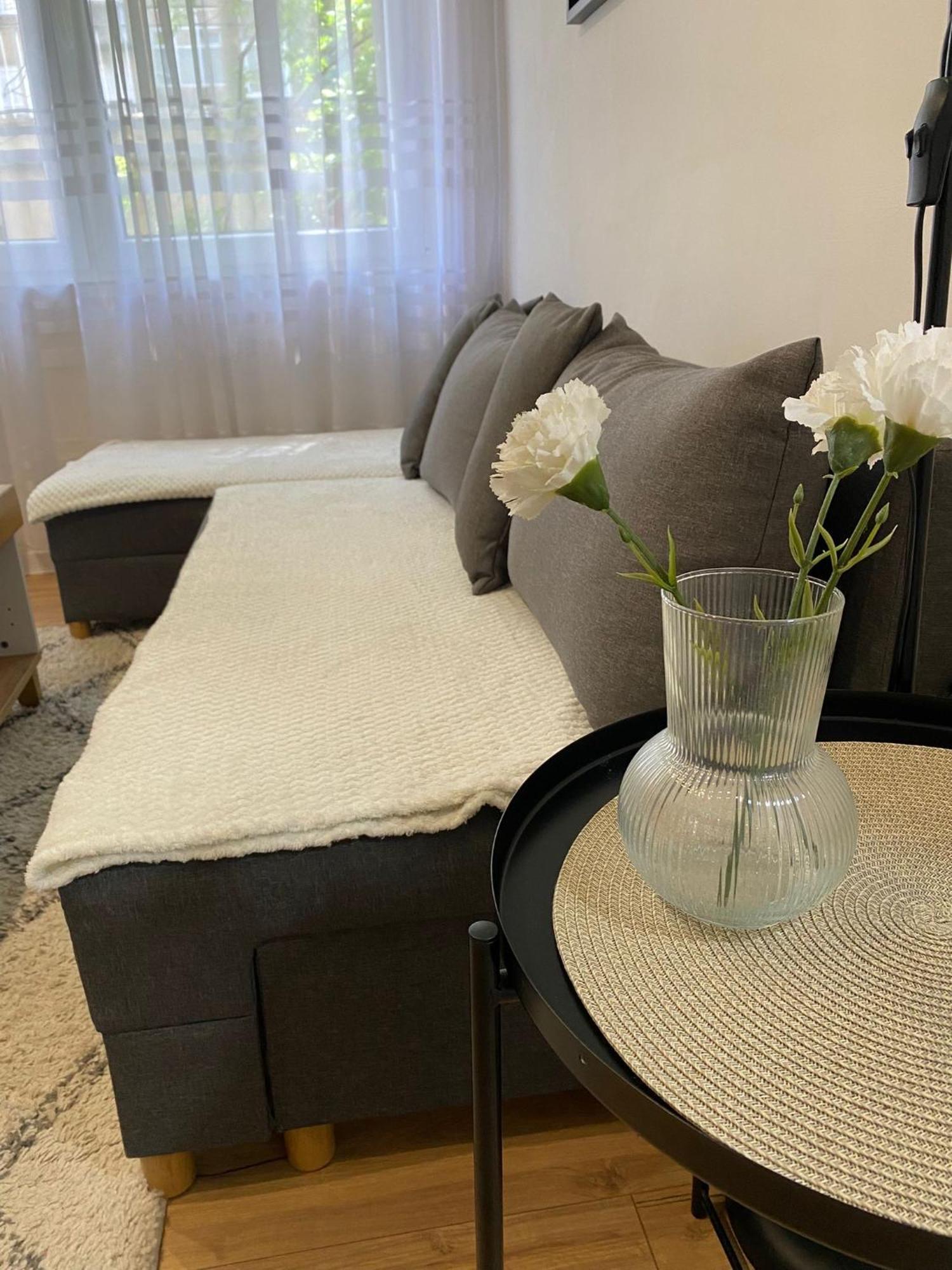 Urban Oasis Apartment Sajmiste Dış mekan fotoğraf